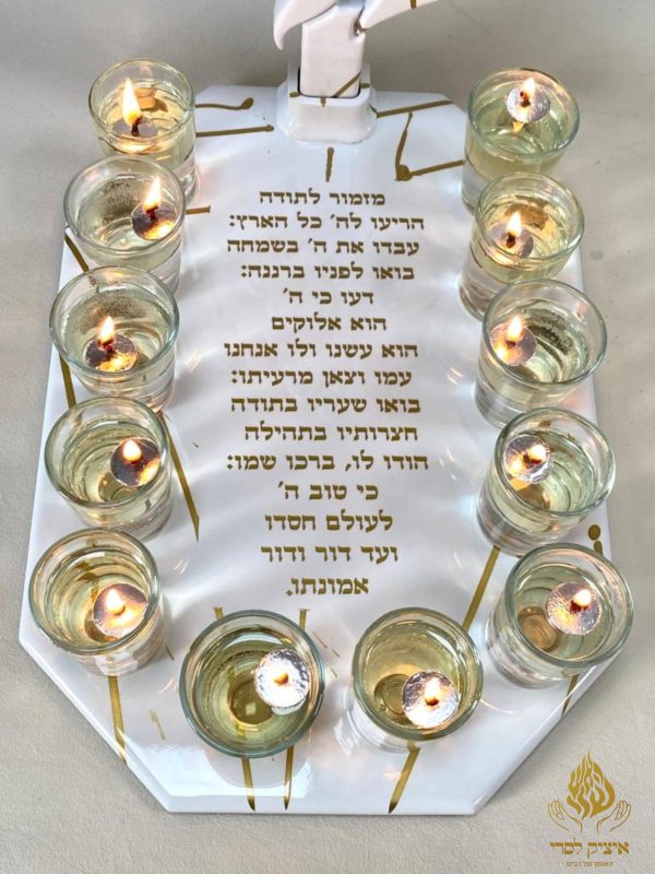 האש שלי 12 קנים